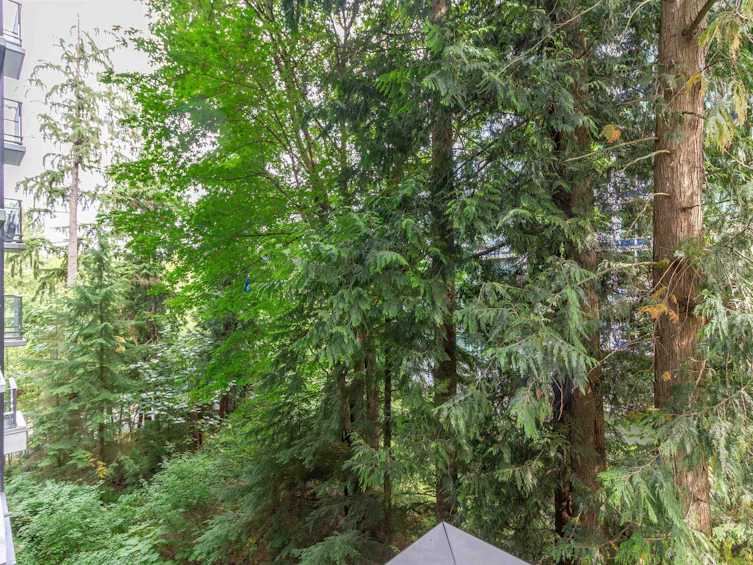 201-8940 University Crescent, Burnaby, BC, V5A 0E7 - 15