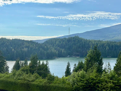 3642 Bedwell Bay Road - 3