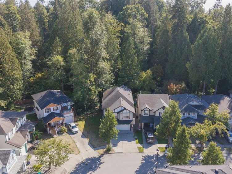 24330 100b Avenue, Maple Ridge, BC, V2W 1X3 - 36