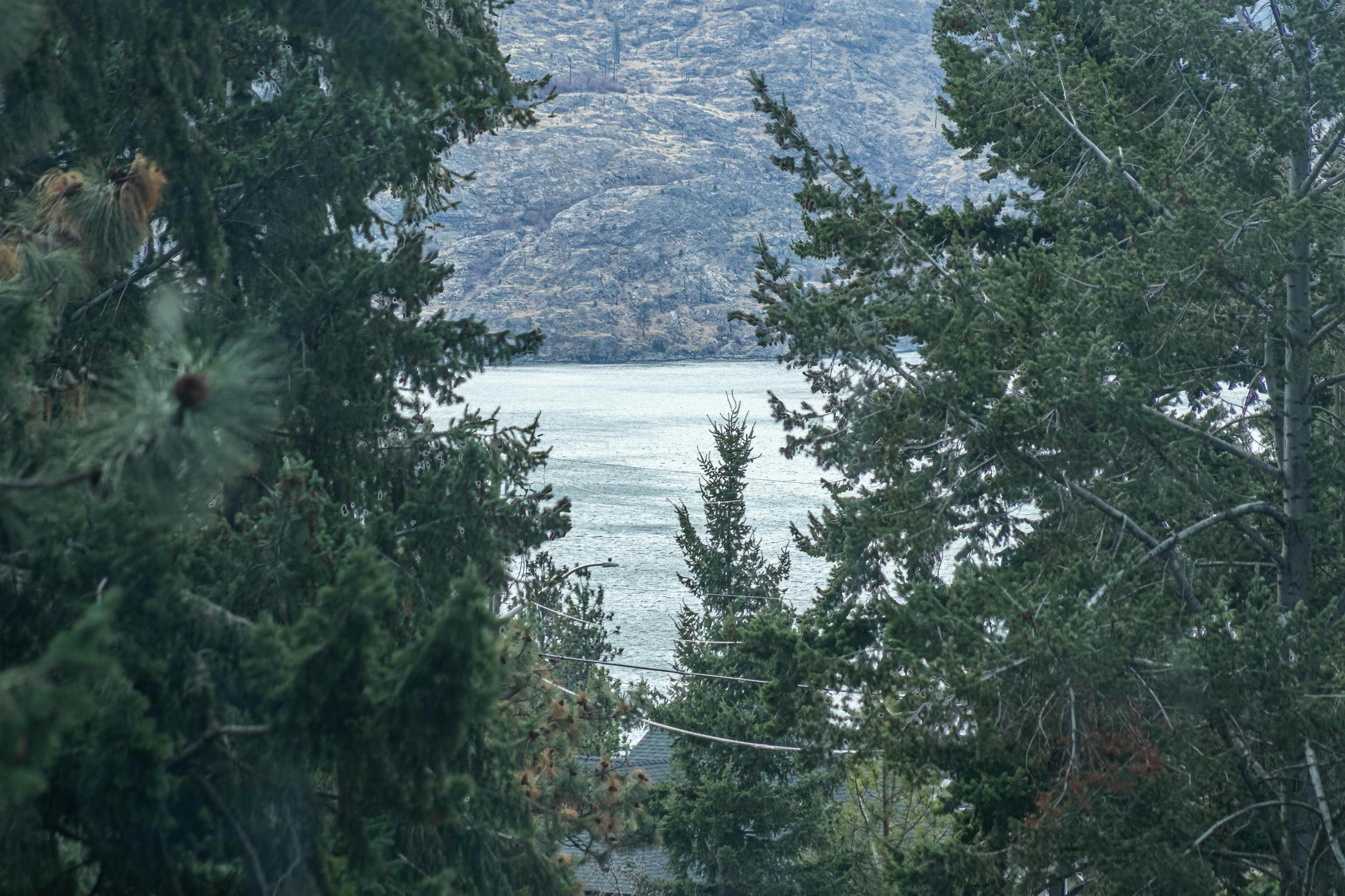 3959 Trepanier Heights Avenue, Peachland, BC, V0H 1X2 - 40