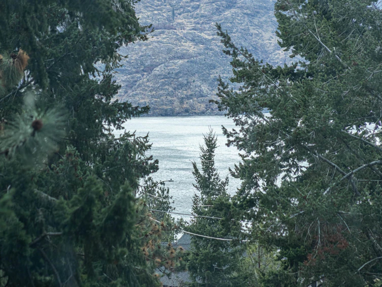 3959 Trepanier Heights Avenue, Peachland, BC, V0H 1X2 - 40