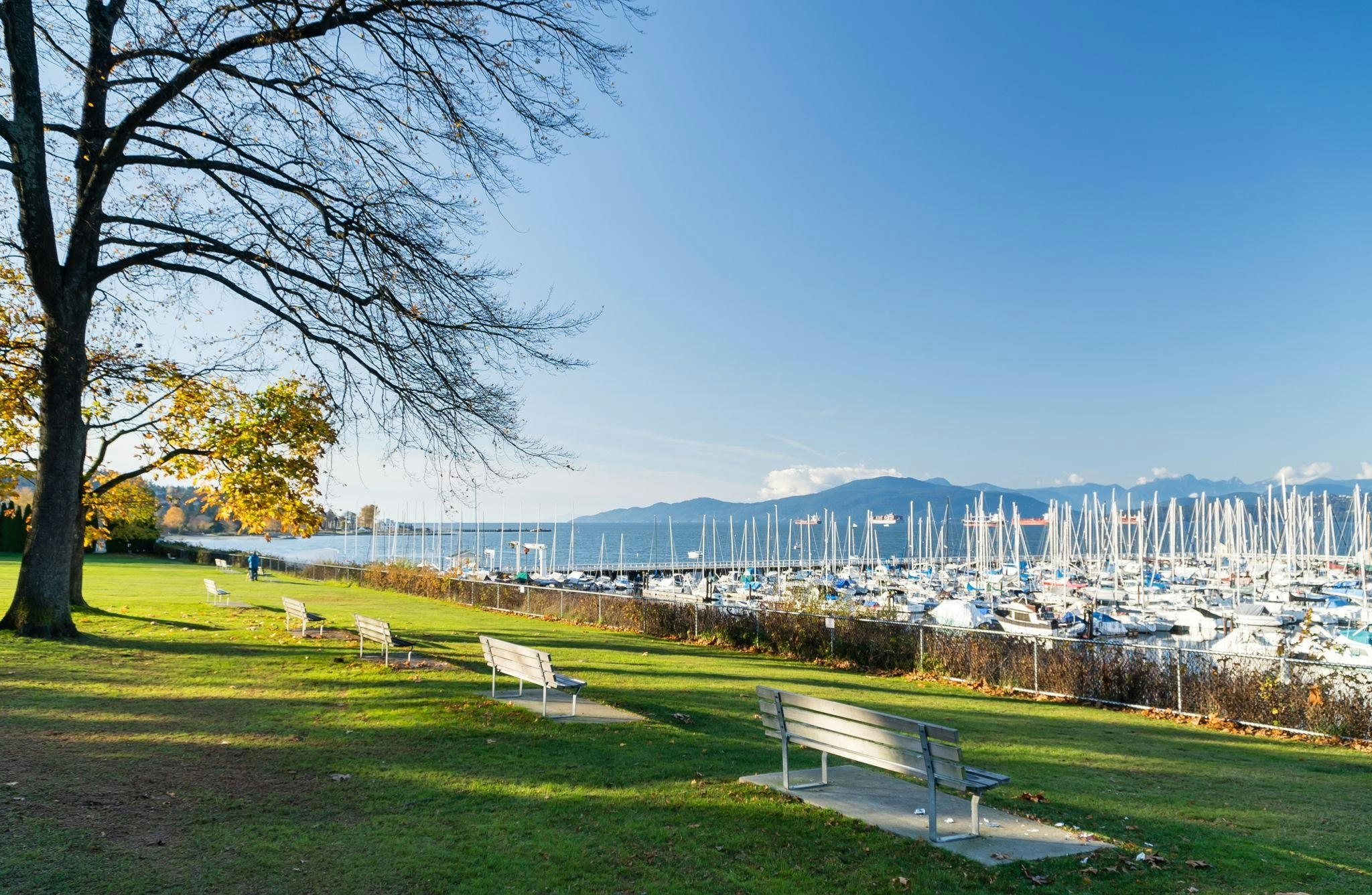 206-2120 W 2nd Avenue, Vancouver, BC, V6K 1H6 - 22