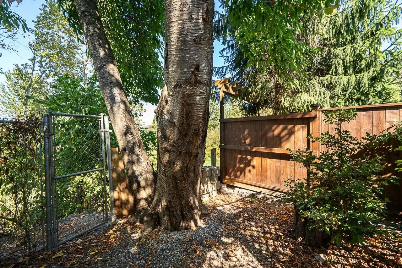 20087 50a Avenue, Langley, BC, V3A 7H8 - 39