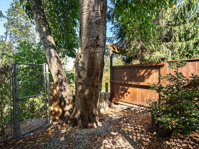 20087 50a Avenue, Langley, BC, V3A 7H8 - 39
