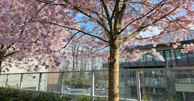 202-1061 Marine Drive, North Vancouver, BC, V7P 1S6 - 27