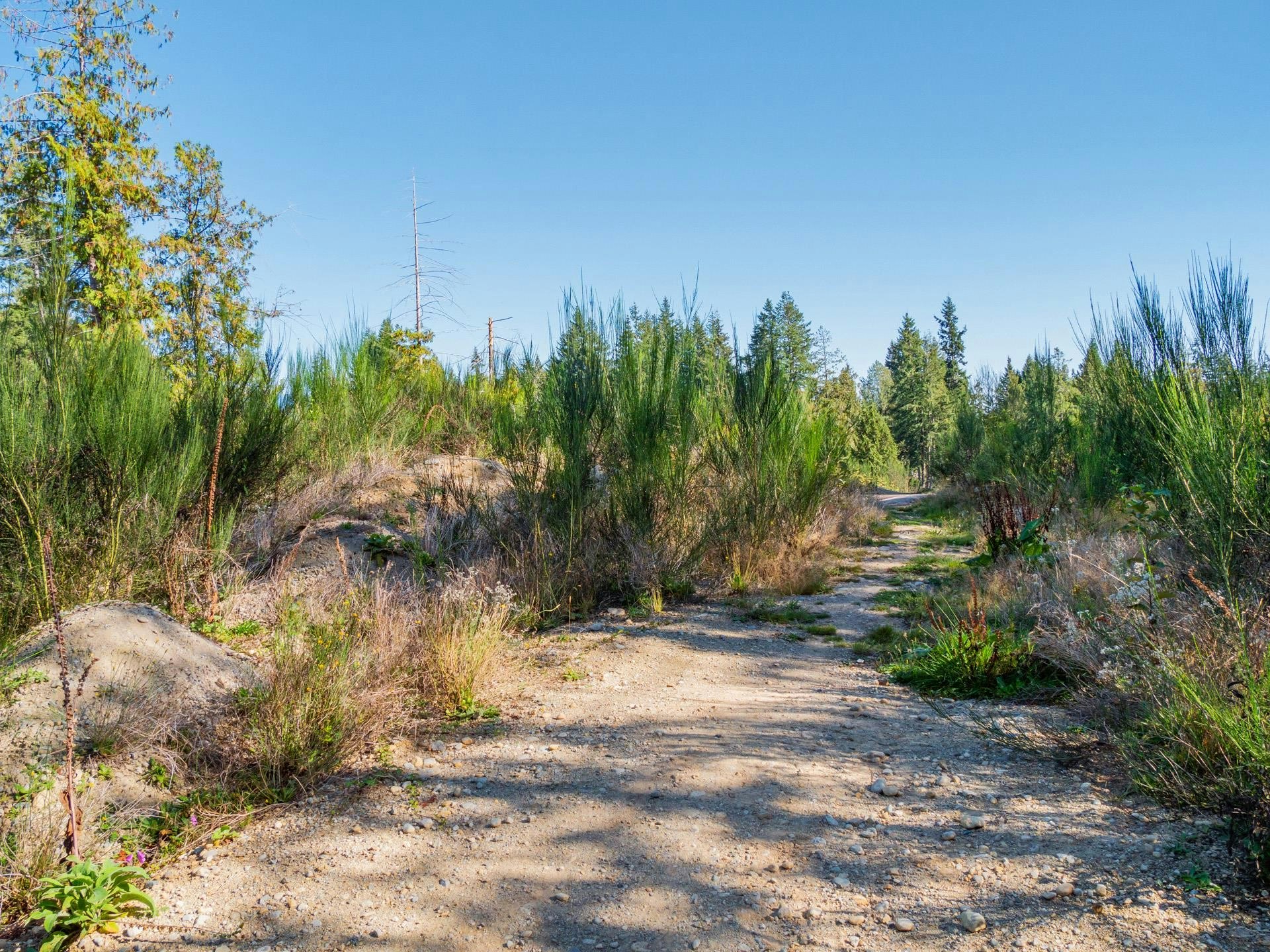 LOT 7 King Road, Gibsons, BC, V0N 1V5 - 13