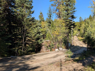 5745 W Gun Lake Road - 5