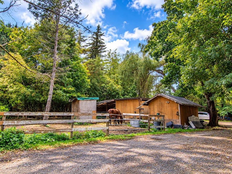 1020 Finch Drive, Squamish, BC, V8B 0C2 - 9