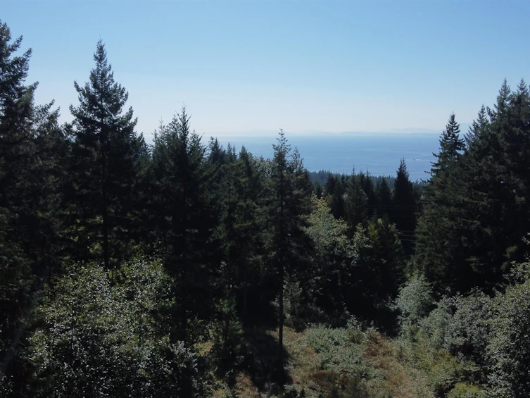 Lot 1 Firburn Road, Gibsons, BC, V0N 2W5 - 6