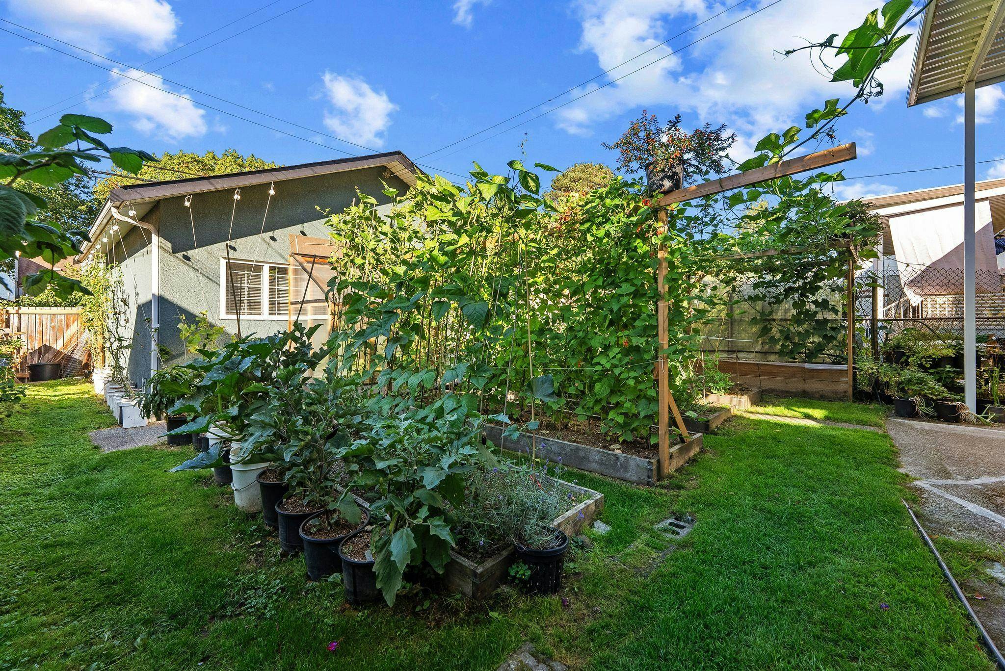 2621 Cambridge Street - 3