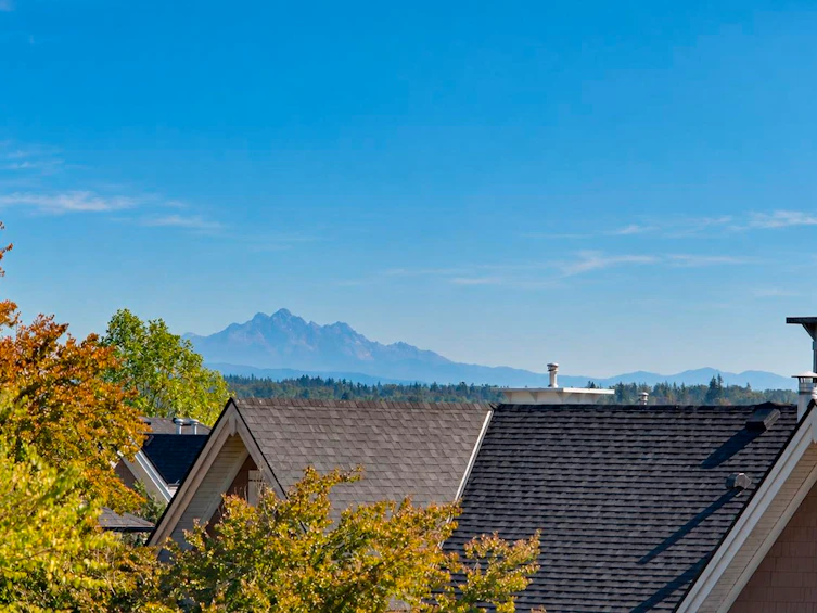 6615 205 Street, Langley, BC, V2Y 2X8 - 38
