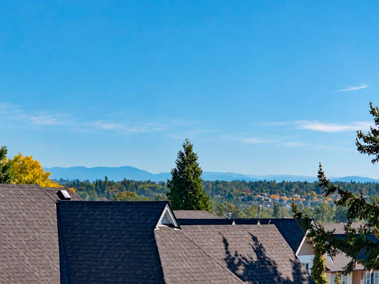 6615 205 Street, Langley, BC, V2Y 2X8 - 37