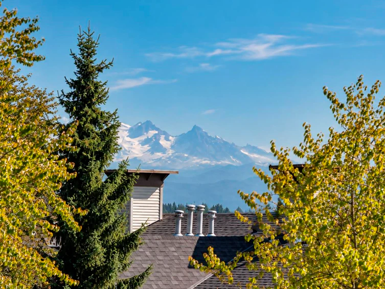 6615 205 Street, Langley, BC, V2Y 2X8 - 39
