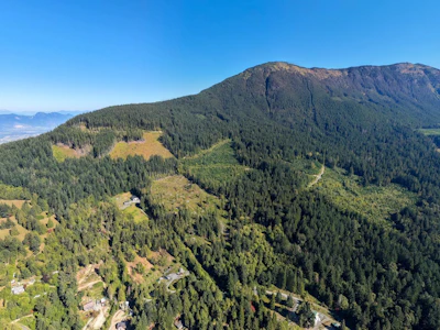 50325 Elk View Road - 4
