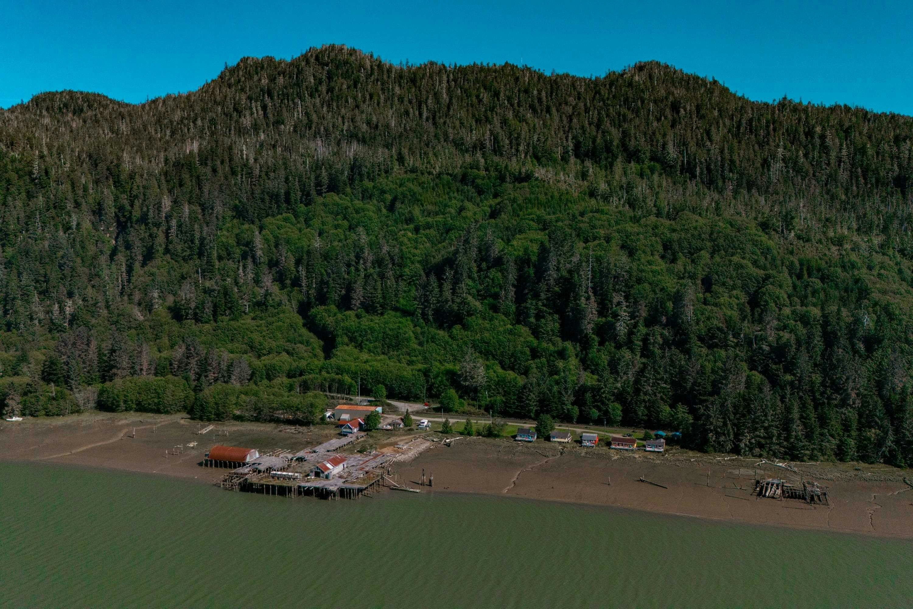 DL-44 Cassiar Drive - 4