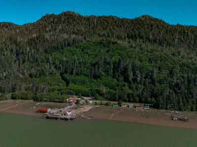 DL-44 Cassiar Drive - 4