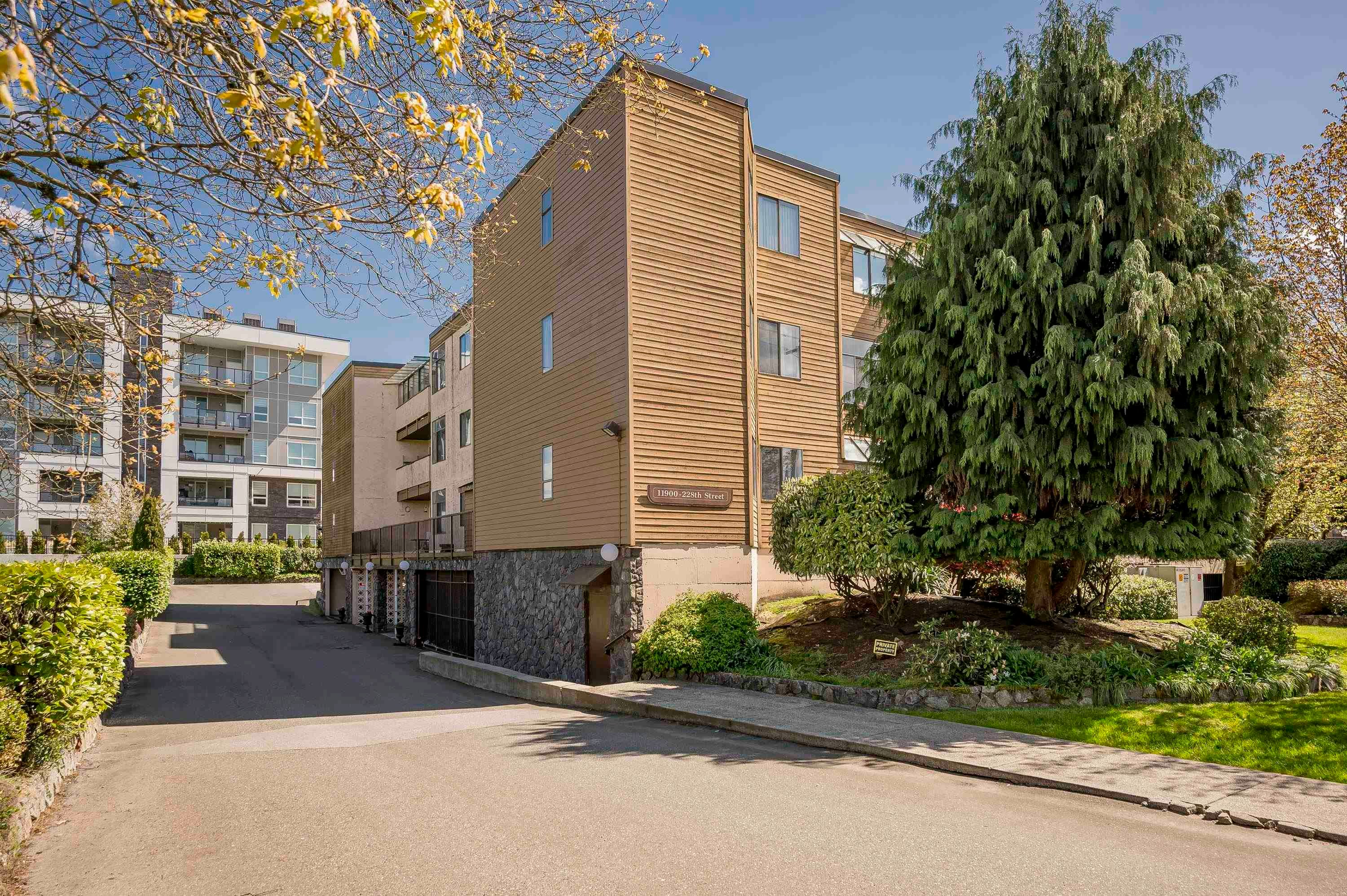 32-11900 228 Street, Maple Ridge, BC, V2X 6L9