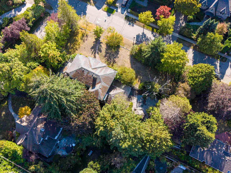 1650 Allison Road, Vancouver, BC, V6T 1S8 - 33