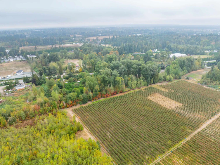 24183 Fraser Highway, Langley, BC, V2Z 2L3 - 17