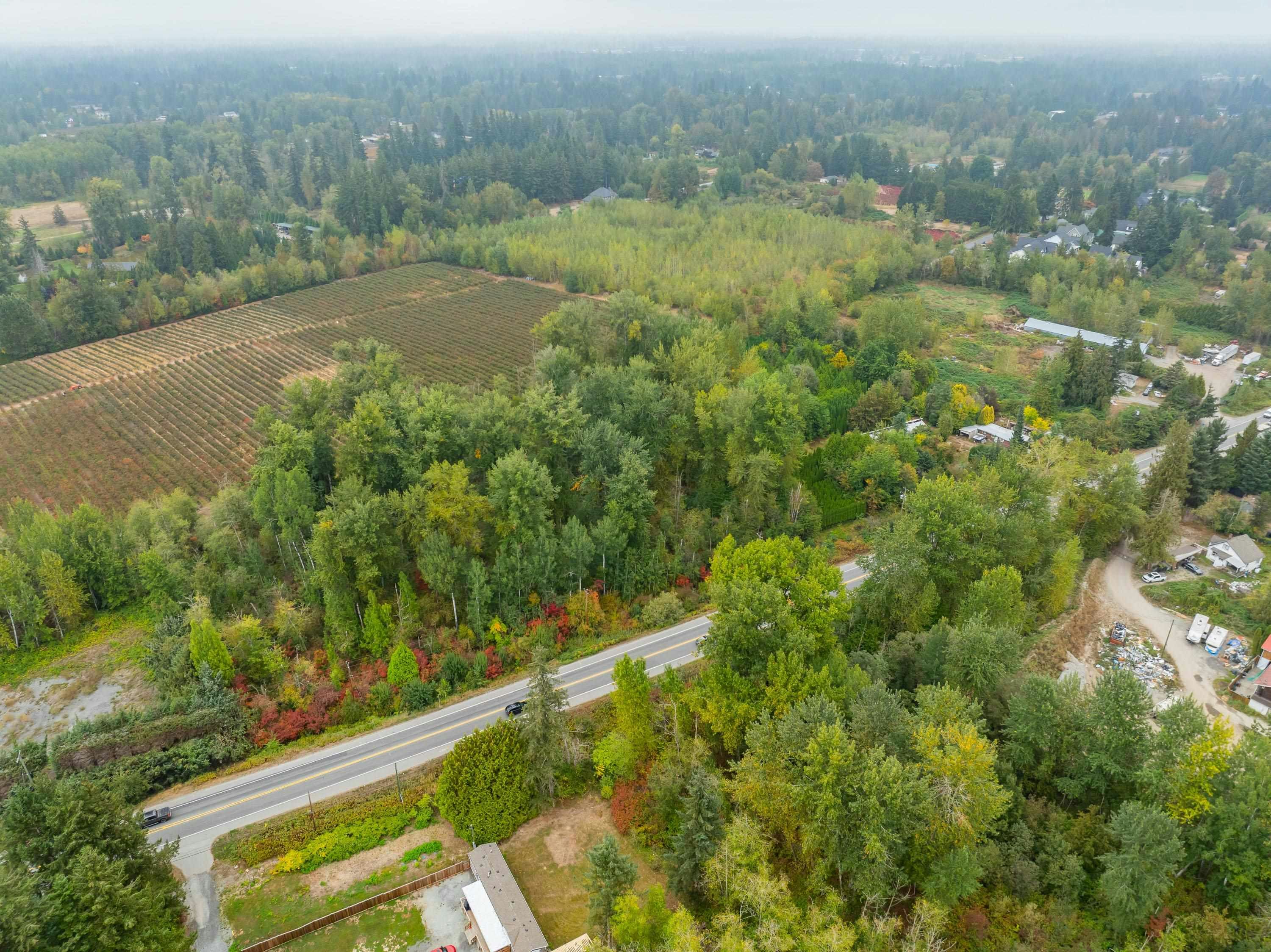 24183 Fraser Highway, Langley, BC, V2Z 2L3 - 10