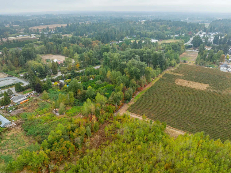 24183 Fraser Highway, Langley, BC, V2Z 2L3 - 6