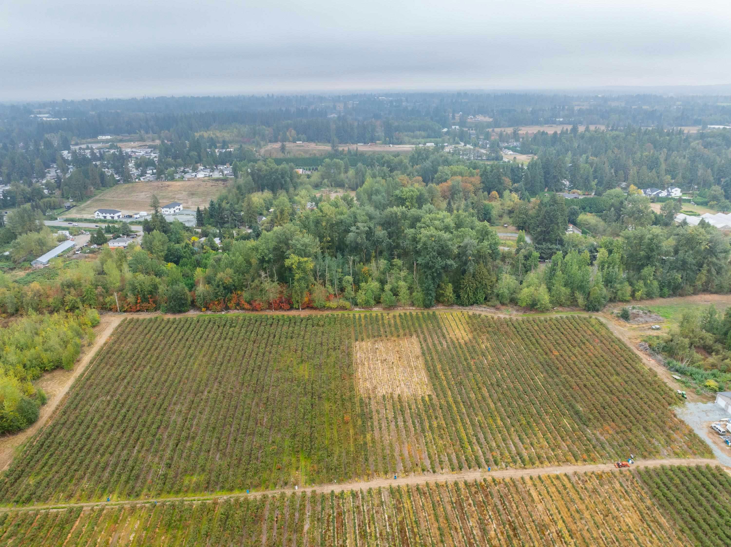 24183 Fraser Highway, Langley, BC, V2Z 2L3 - 7