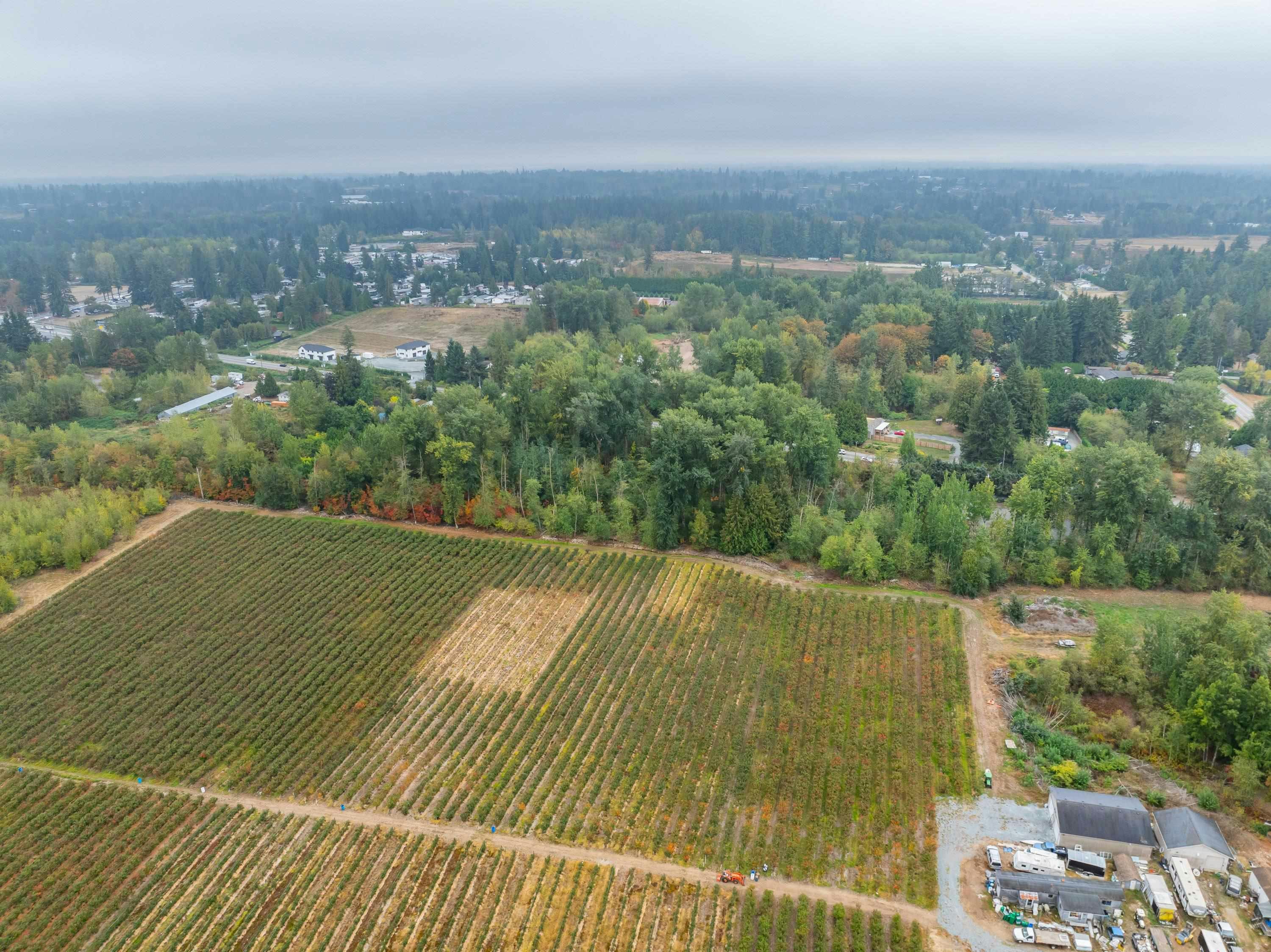 24183 Fraser Highway, Langley, BC, V2Z 2L3 - 8
