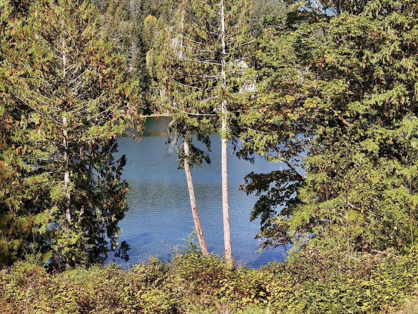 5611 E Oyster Bay Road, Pender Harbour Egmont, BC, V0N 2H1 - 8