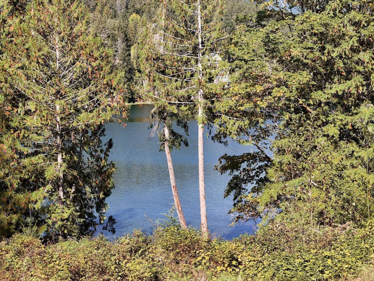 5611 E Oyster Bay Road, Pender Harbour Egmont, BC, V0N 2H1 - 8