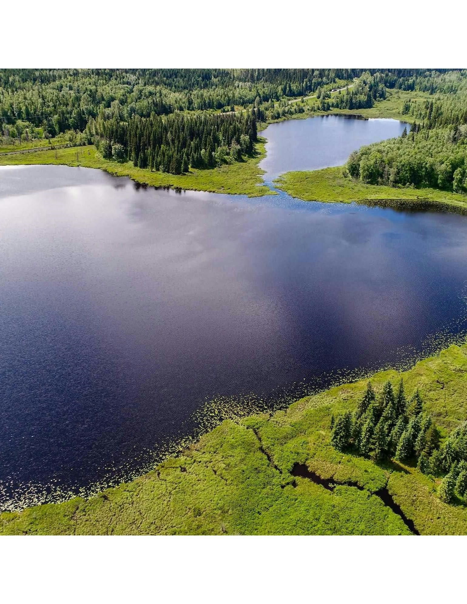 DL-2685 Upper Fraser Road, Prince George, BC, V0J 2Z0