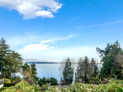 3575 Sunset Lane - 5