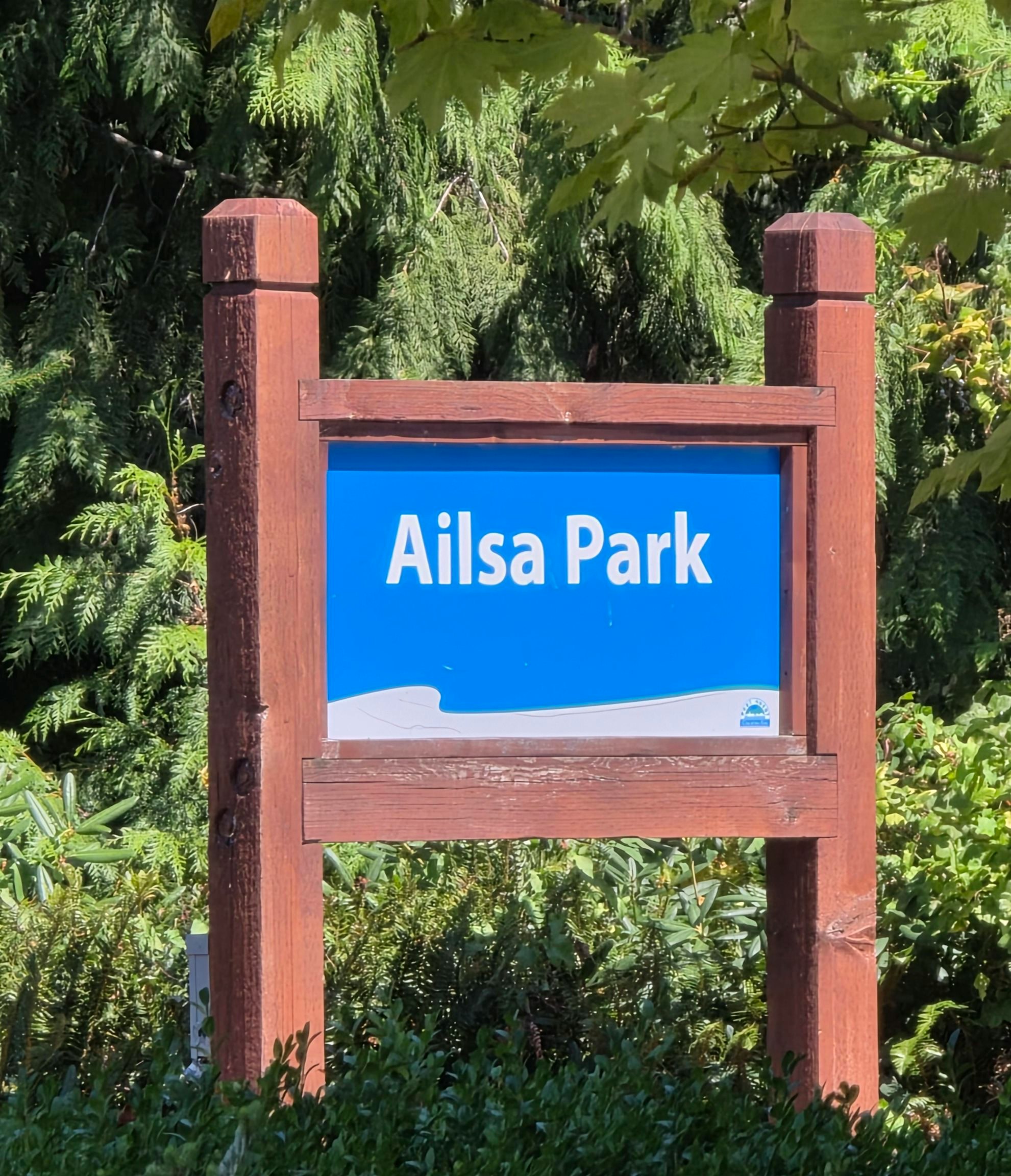 517 Ailsa Avenue, Port Moody, BC, V3H 1A5 - 40