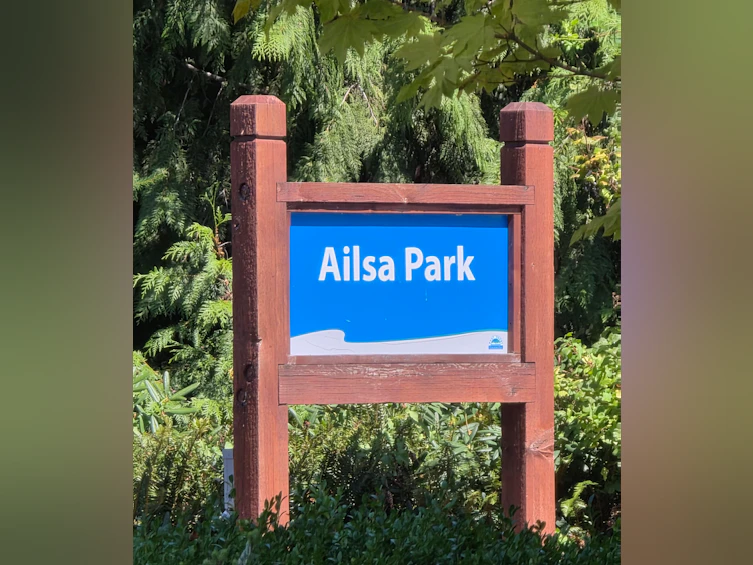 517 Ailsa Avenue, Port Moody, BC, V3H 1A5 - 40