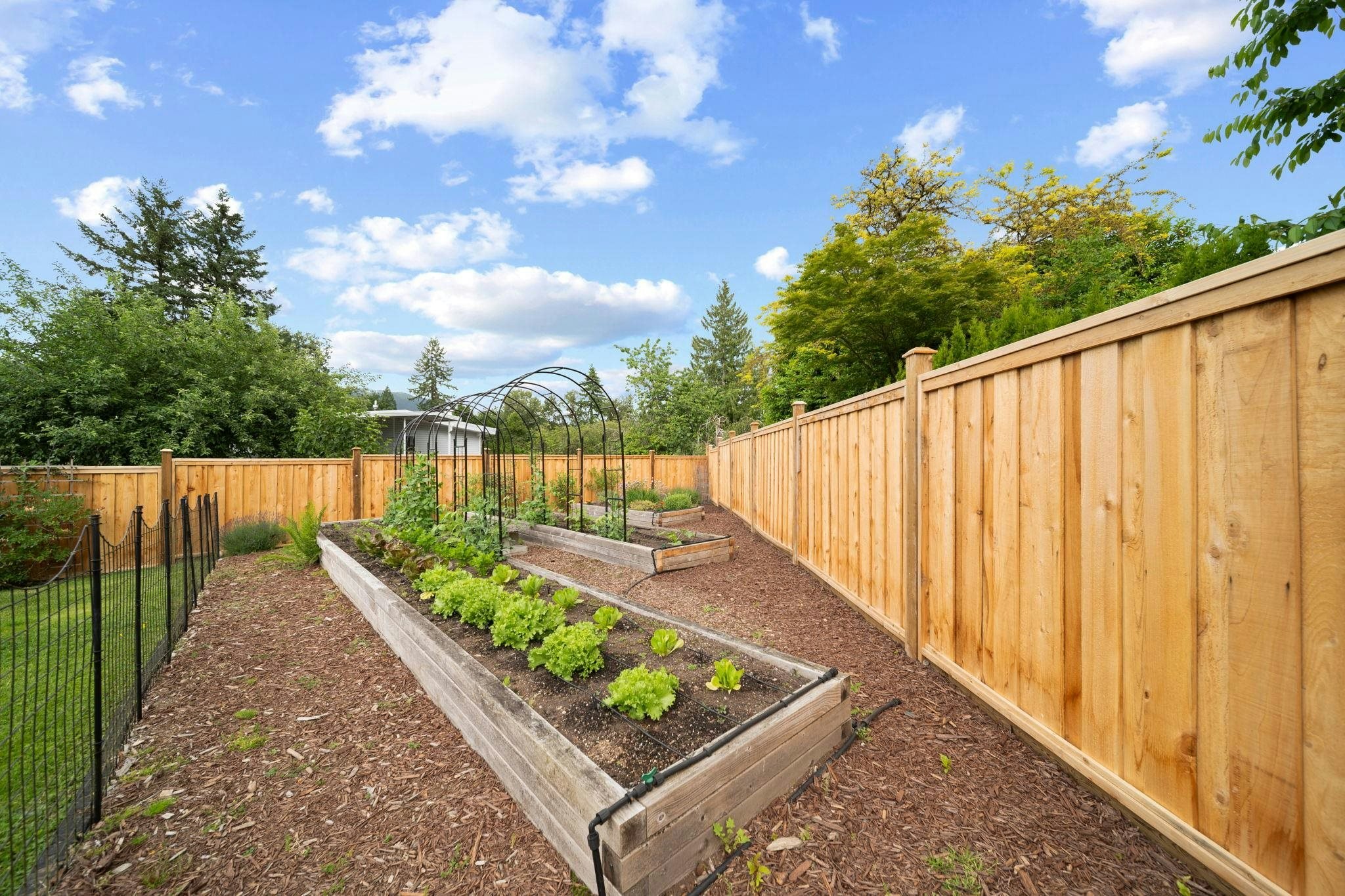 2519 Channel Court, Coquitlam, BC, V3H 3E5 - 30