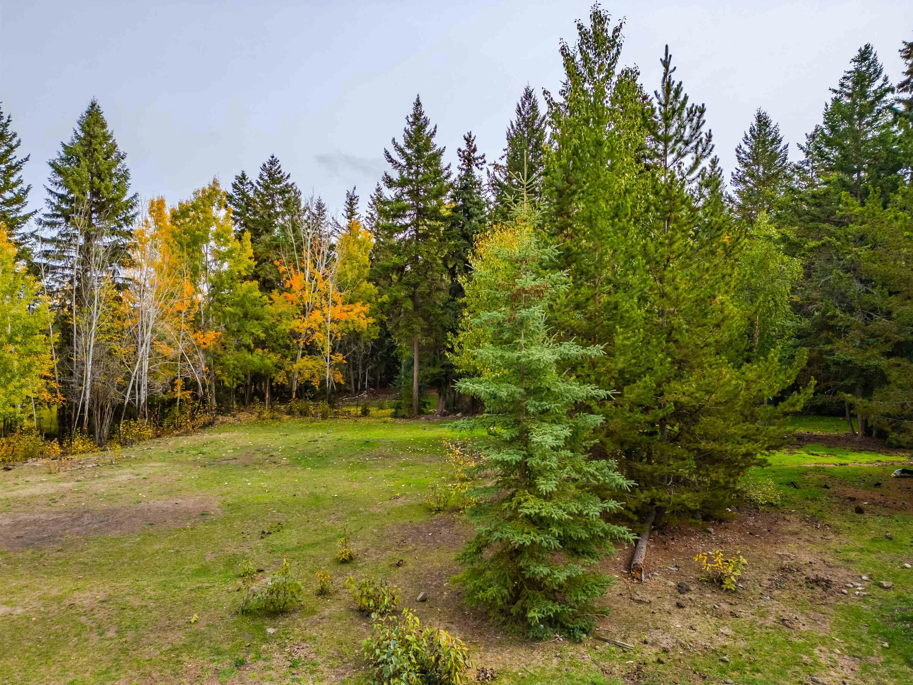 1761 Kopeka Place, Williams Lake, BC, V2G 5B4 - 13