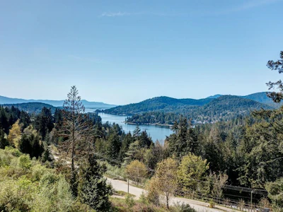 5280 Cecil Hill Road - 3
