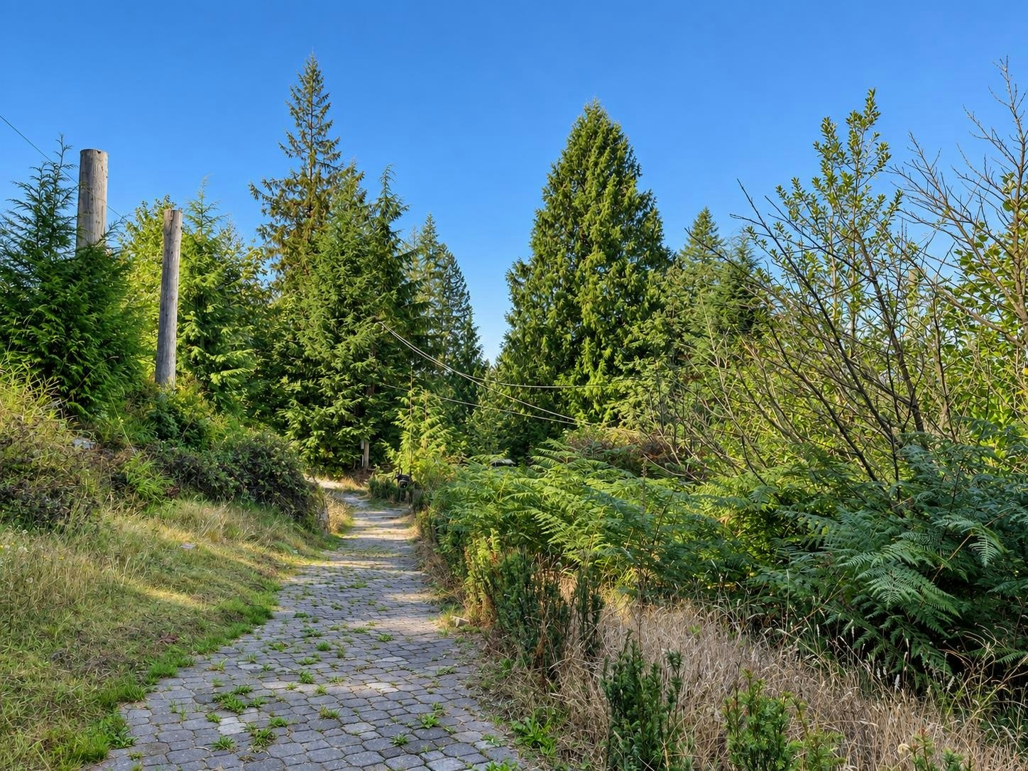 31081 Silverhill Road, Mission, BC, V4S 1G9 - 34