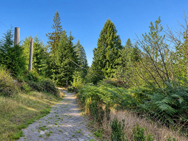31081 Silverhill Road, Mission, BC, V4S 1G9 - 34