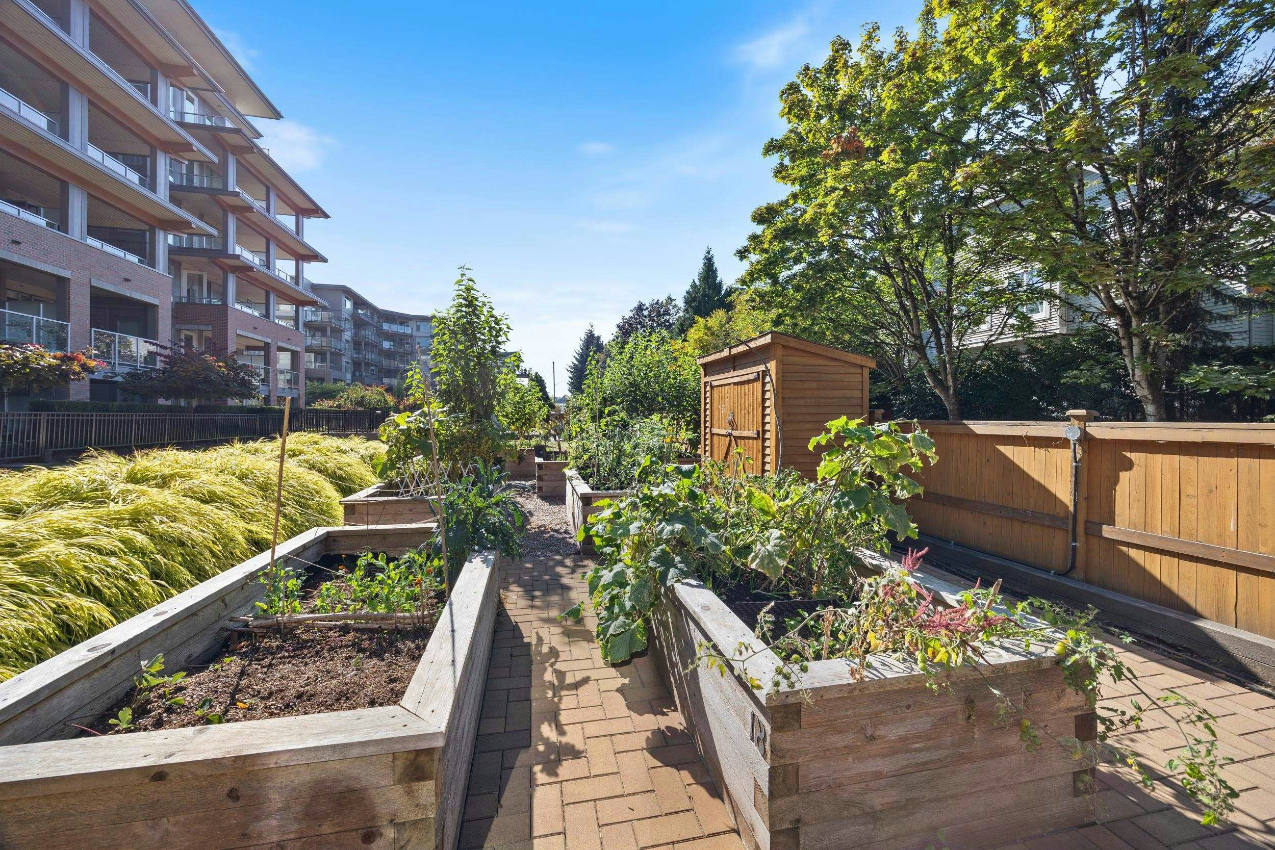 601-7133 14th Avenue, Burnaby, BC, V3N 0H5 - 35