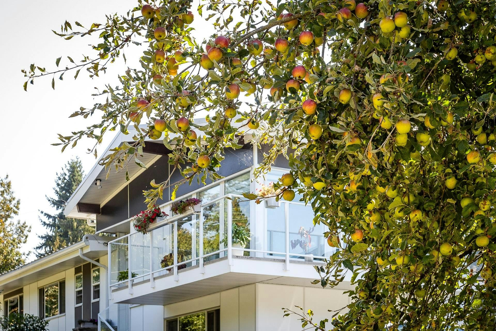 11906 100 Avenue, Surrey, BC, V3V 2W1