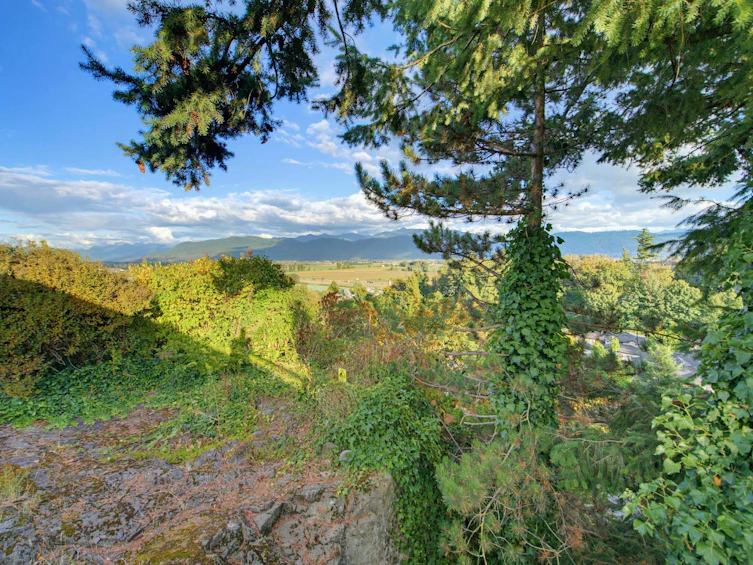 36042 Southridge Place, Abbotsford, BC, V3G 1E2 - 33