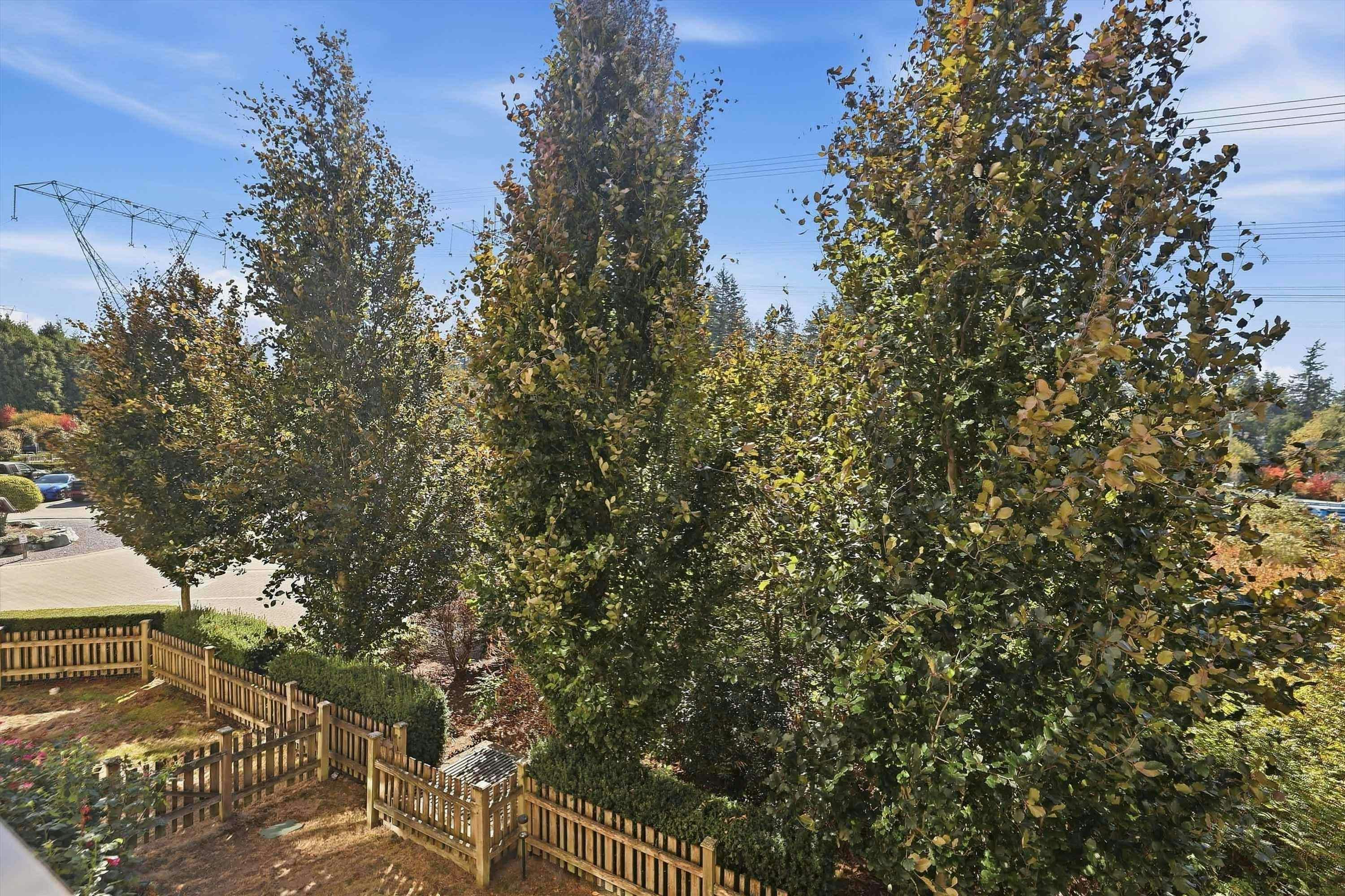 310-2855 156 Street, Surrey, BC, V3S 3Y3 - 16