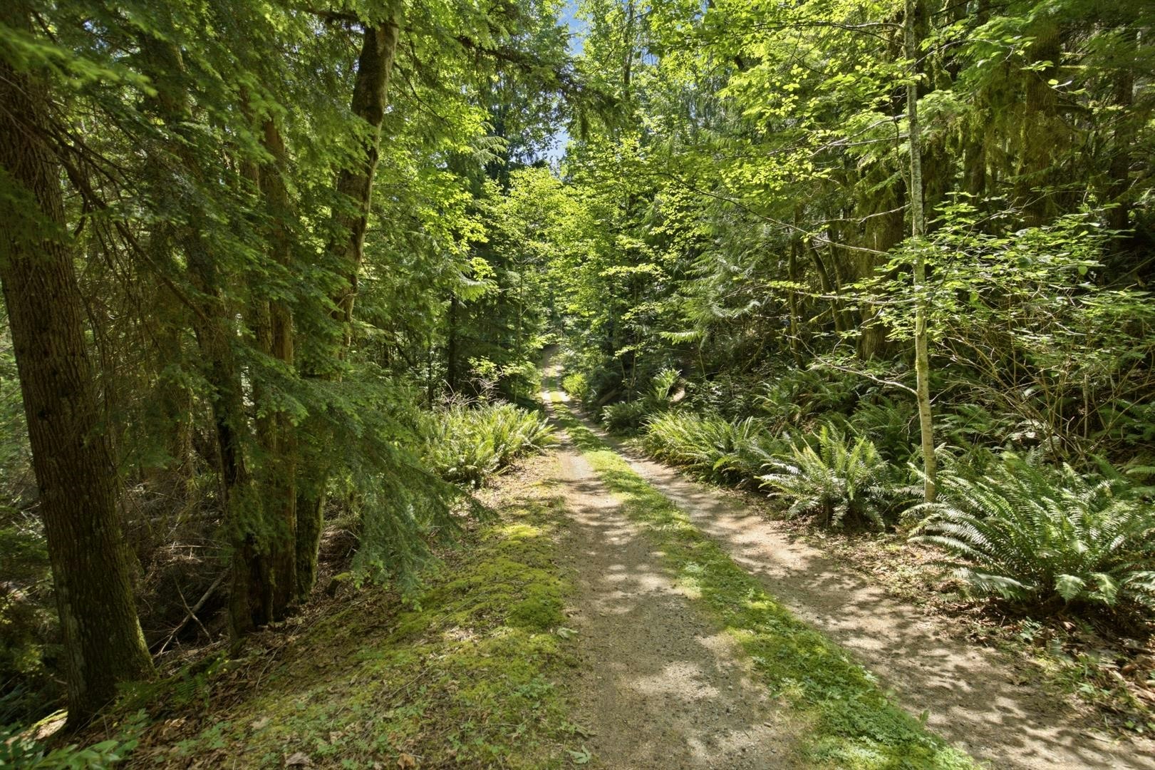 5280 Bear Bay Road, Pender Harbour Egmont, BC, V0N 1S1 - 25