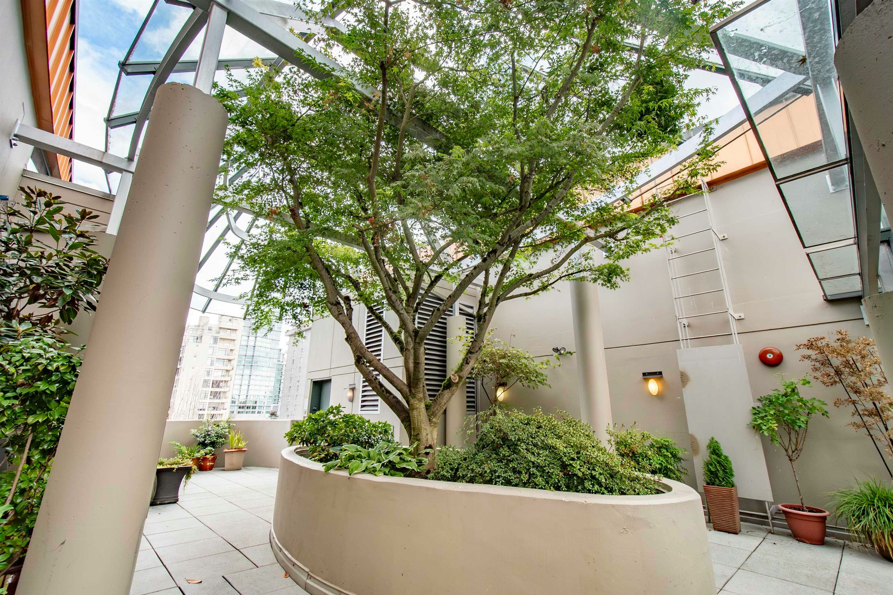 202-1688 Robson Street, Vancouver, BC, V6G 1C7 - 18