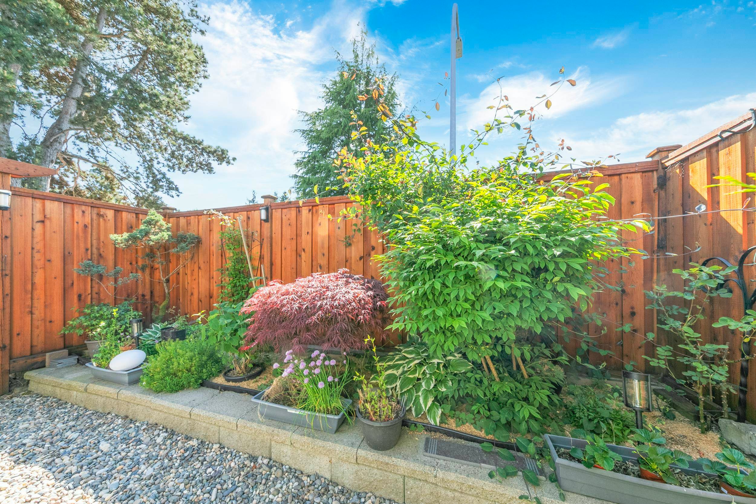 3-9080 Parksville Drive, Richmond, BC, V7E 4N9 - 24