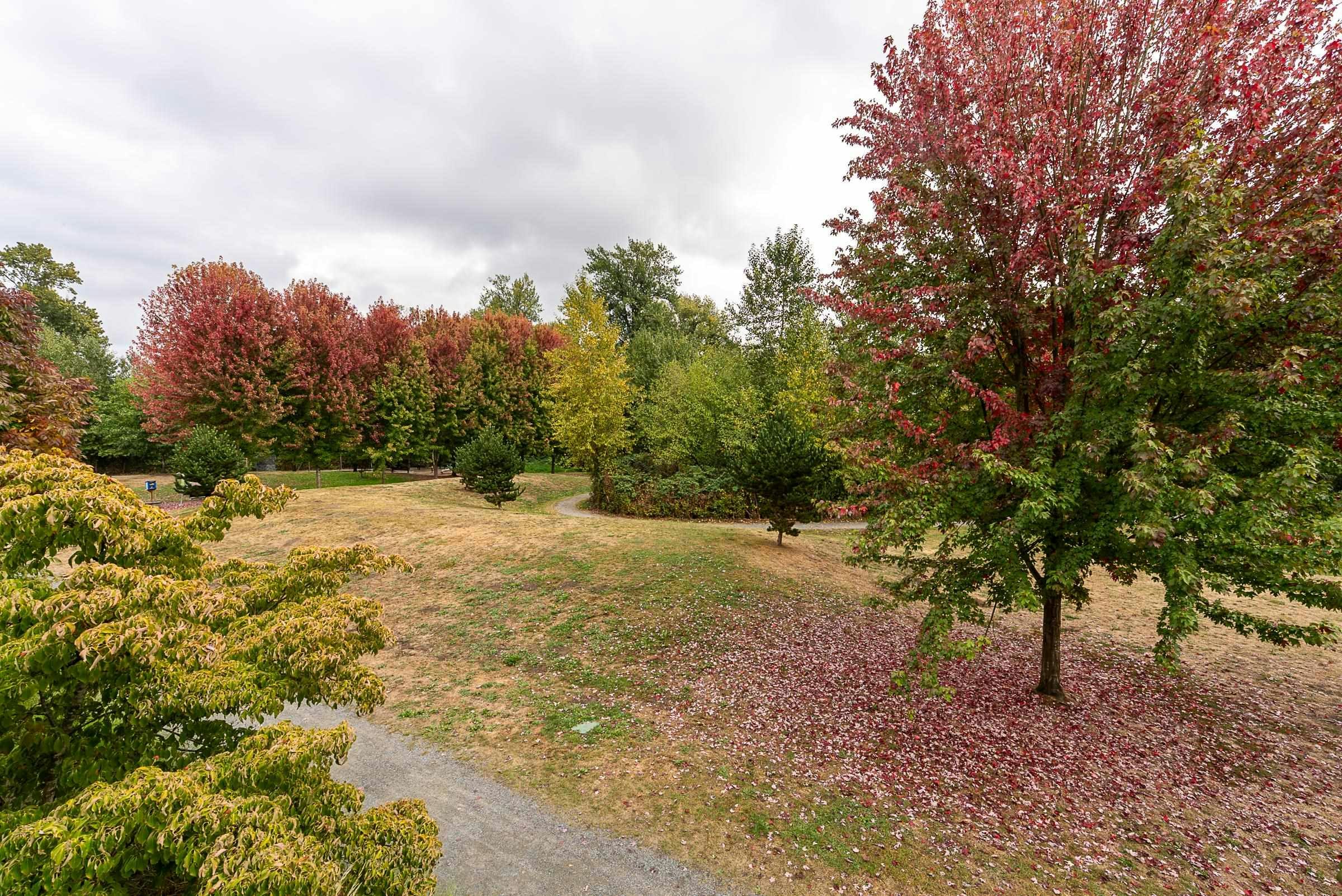 24-2332 Ranger Lane, Port Coquitlam, BC, V3B 0J4 - 17