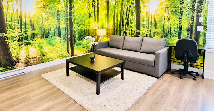 furnished bsmt-2161 167st, Surrey, BC, V3Z 9X9