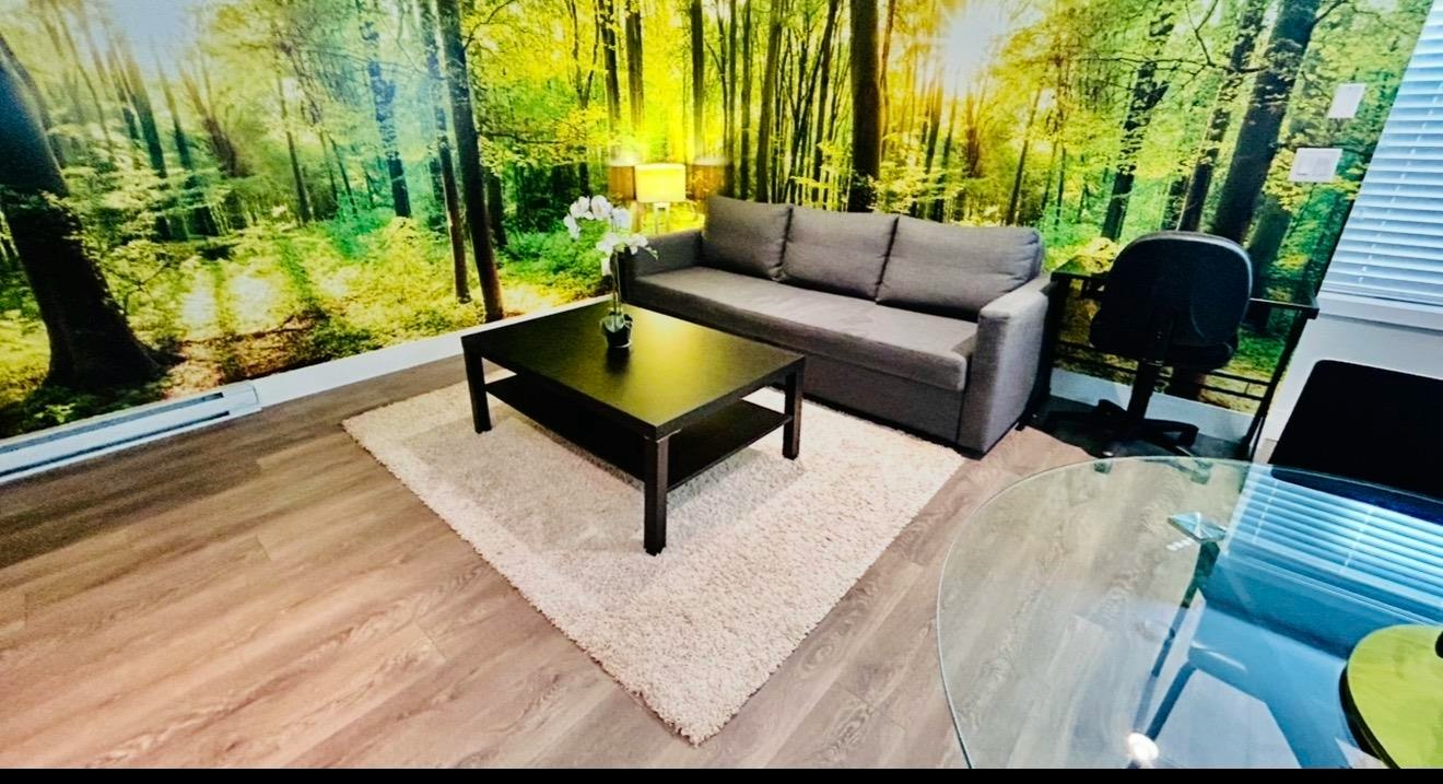 furnished bsmt-2161 167st, Surrey, BC, V3Z 9X9 - 8