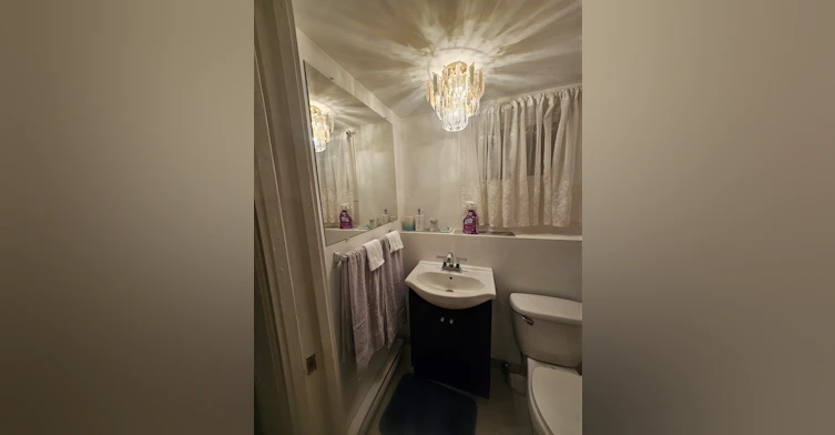 Basement suite-1112 Sprice Avenue, Coquitlam, BC, V3J 2P4 - 7