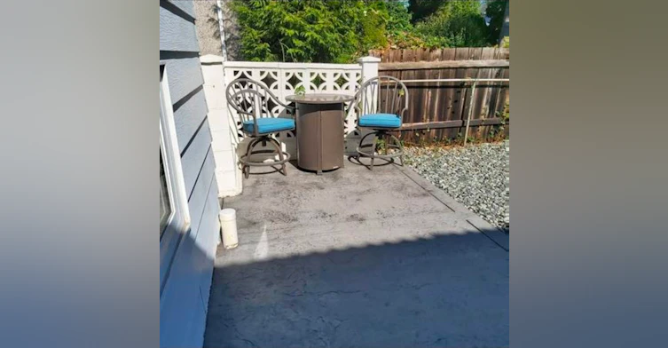 Basement suite-1112 Sprice Avenue, Coquitlam, BC, V3J 2P4 - 18